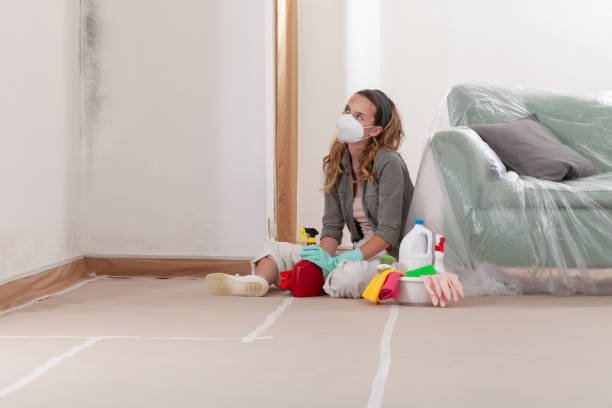 Reliable Mold Inspection And Testing contractor in Markham, IL by Mold Remediation HQ